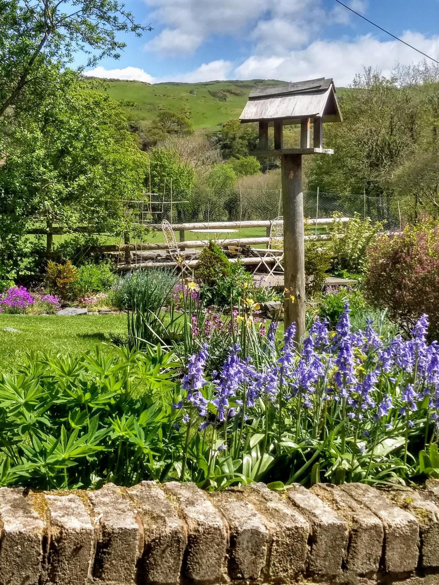 Pentre Isaf Bed & Breakfast