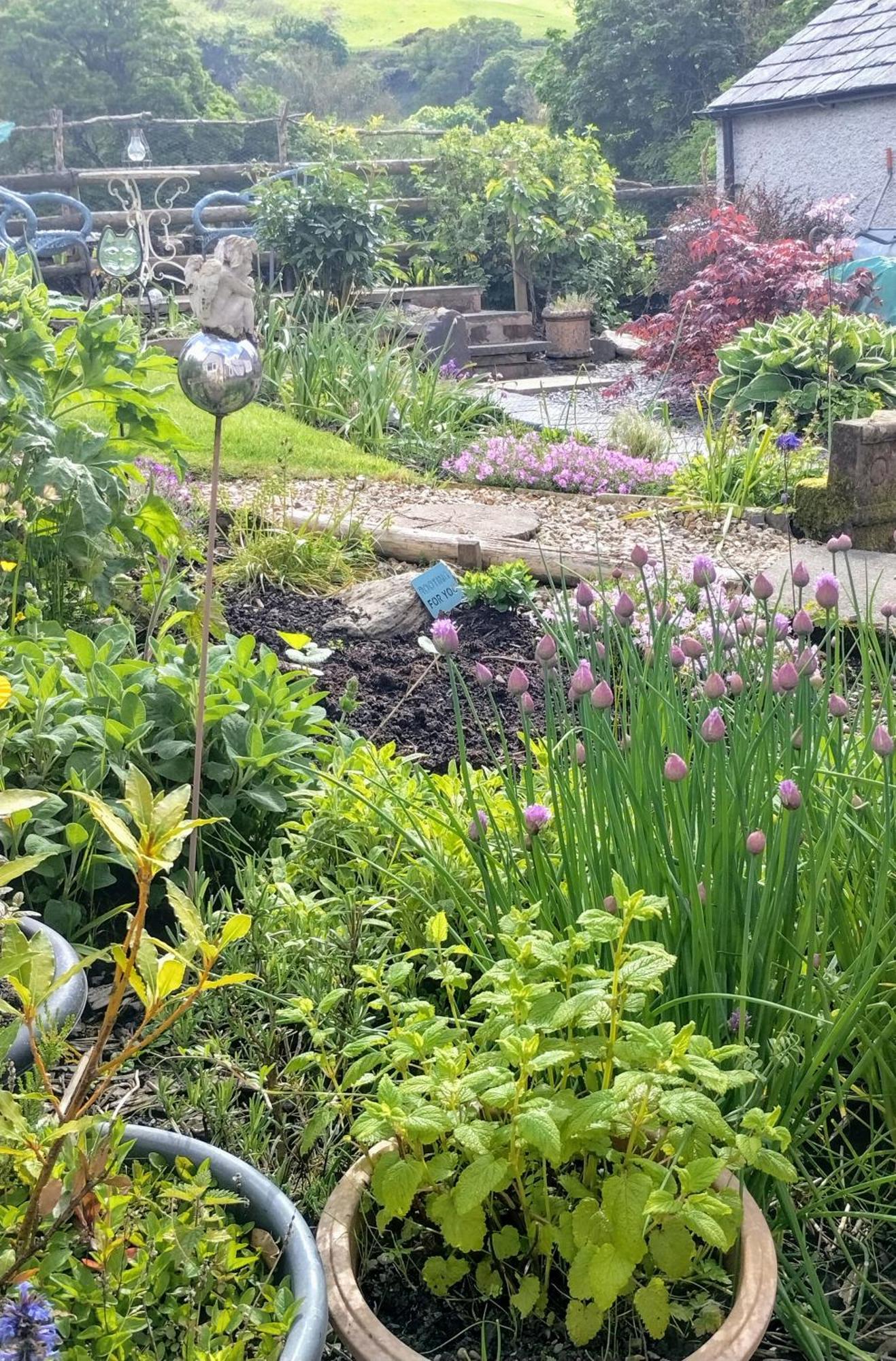 Bed & Breakfast Pentre Isaf